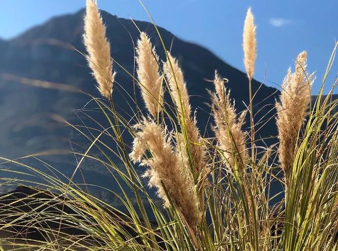 Апартаменты Casa Tobe Менаджо